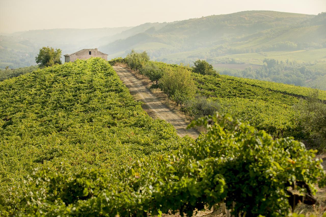 Villamagna  Baldovino B&B מראה חיצוני תמונה